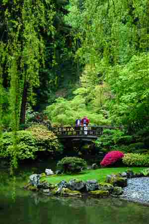 Japanese Garden